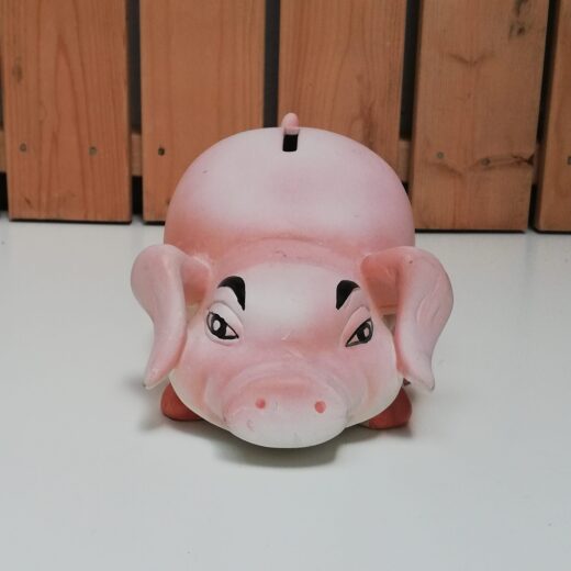 Spaarvarken spaarpot