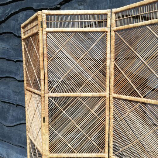 Rotan kamerscherm