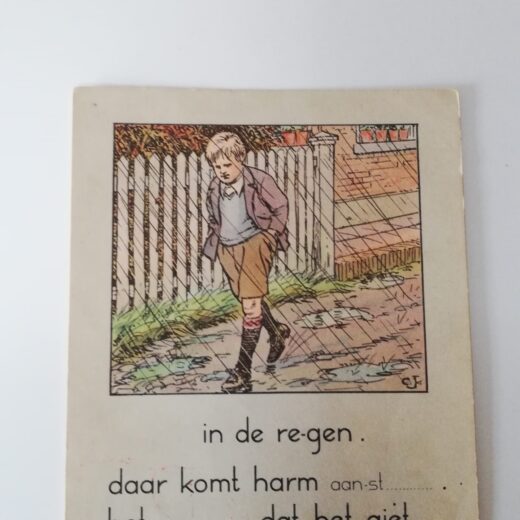 Taalkaart Ontluikend leven serie VI - kaart 4
