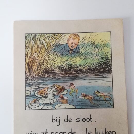 Taalkaart Ontluikend leven serie VI - kaart 11