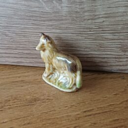 Wade England hond - collie