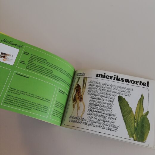 Tuinkruiden - Voorlichtingsbureau voor de voeding