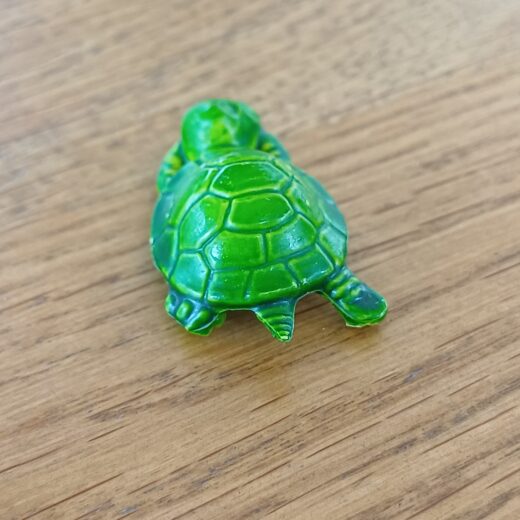 Miniatuur schildpadje
