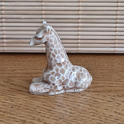 Wade England giraffe