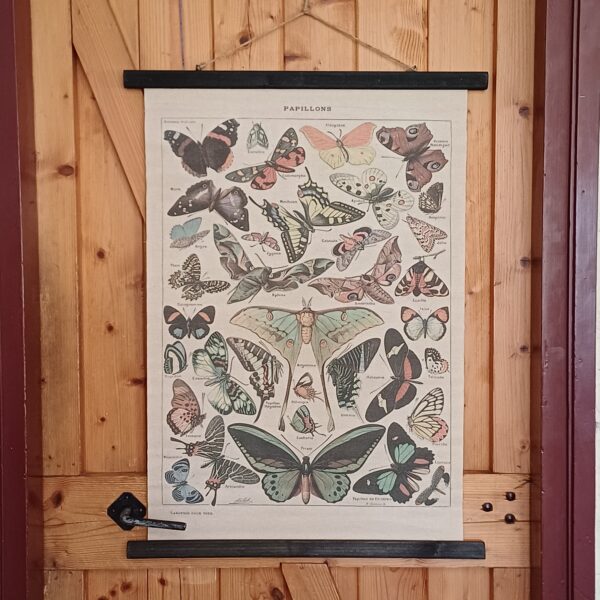 Wandkaart vlinders