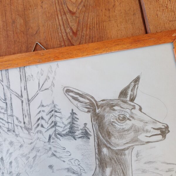 Tekening herten in het groen