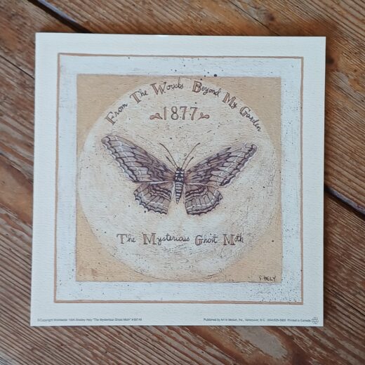 The mysterious ghost moth - Shelley Hely