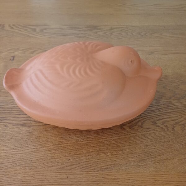 Ovenschaal eend