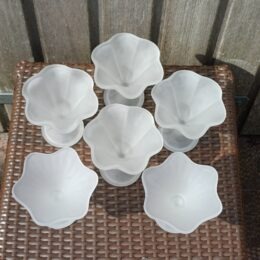 6 matglas ijscoupes