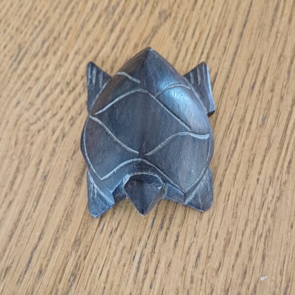 Houten schildpad