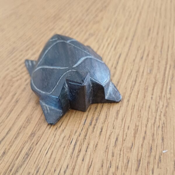 Houten schildpad