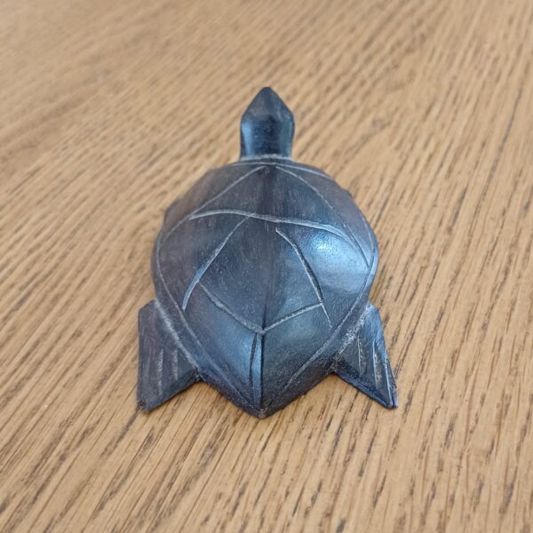 Houten schildpad