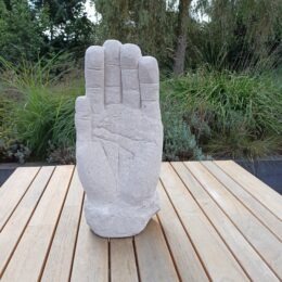 Beeld hand