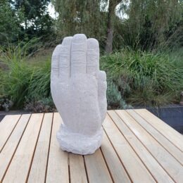 Beeld hand