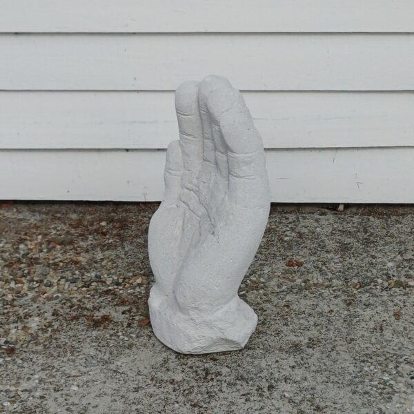 Beeld hand