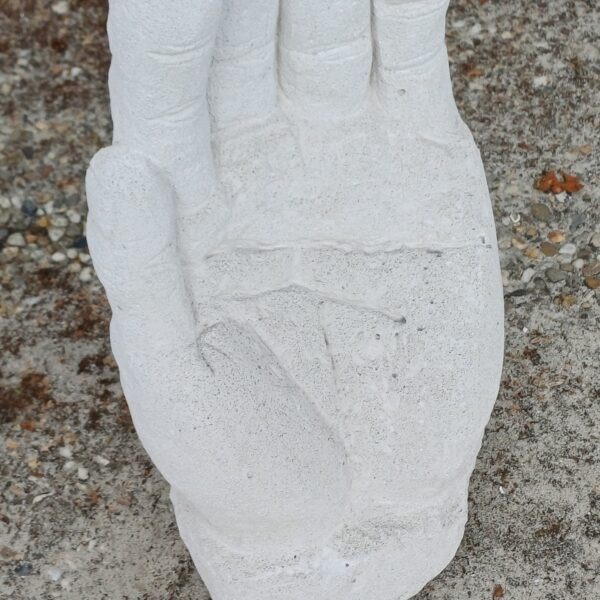 Beeld hand