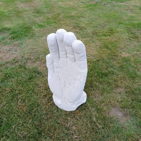 Beeld hand