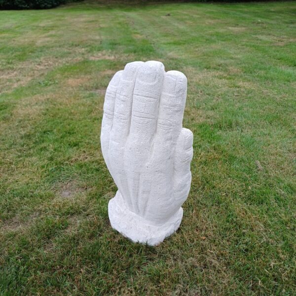 Beeld hand