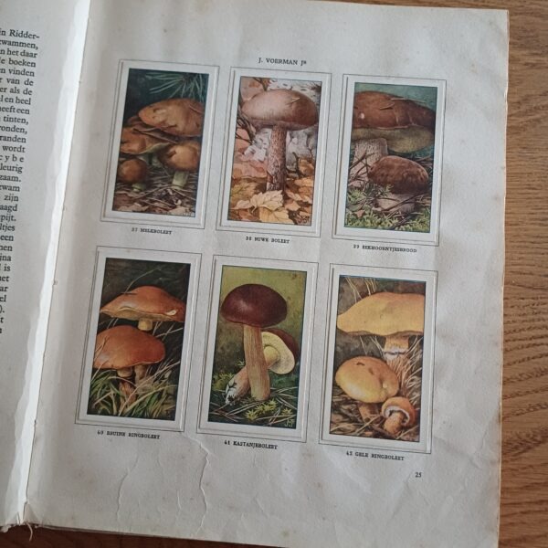 Verkade album Paddenstoelen