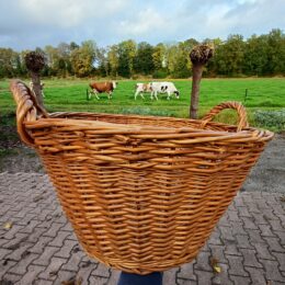 Grote rieten mand