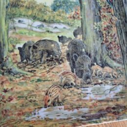 Dienblad zwijnen in het bos